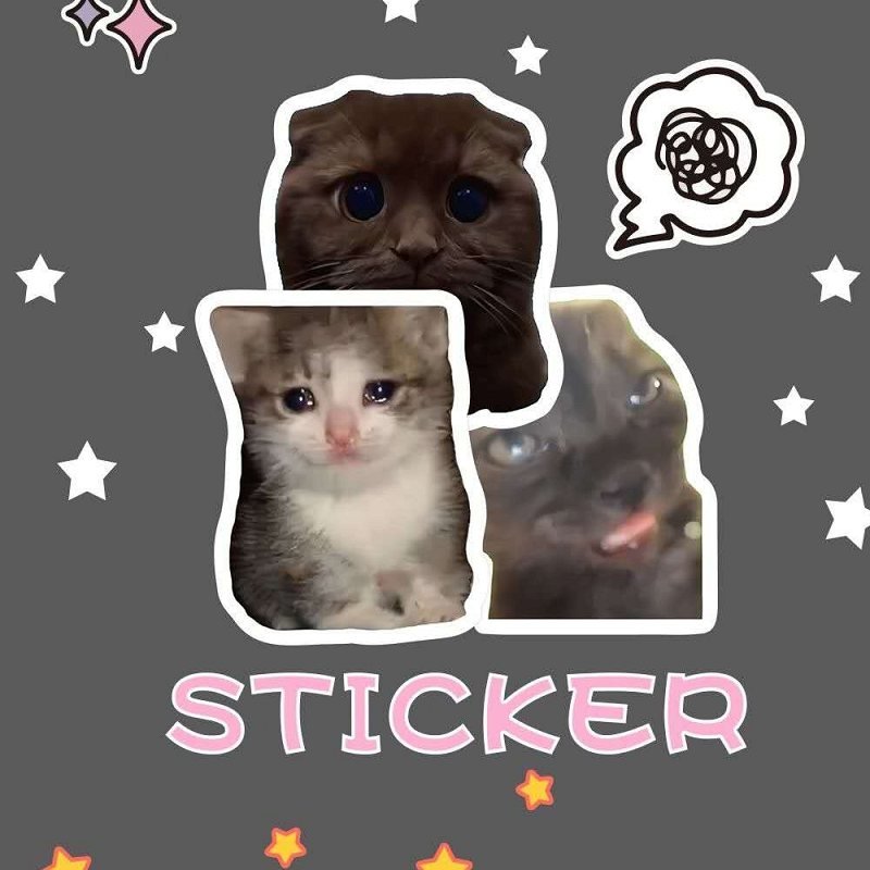 ملصق قطة